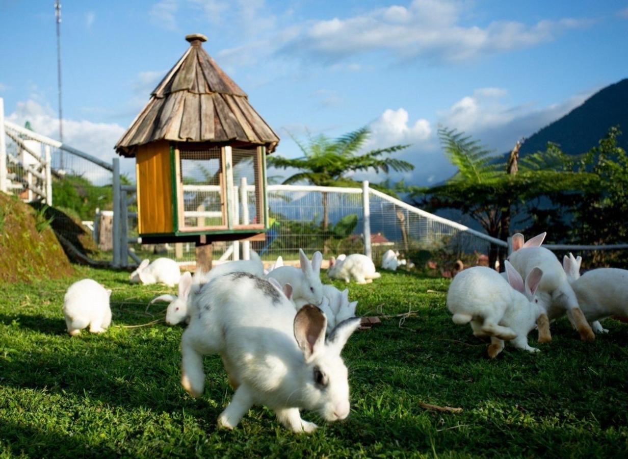 O Chau Homestay 라오까이 외부 사진