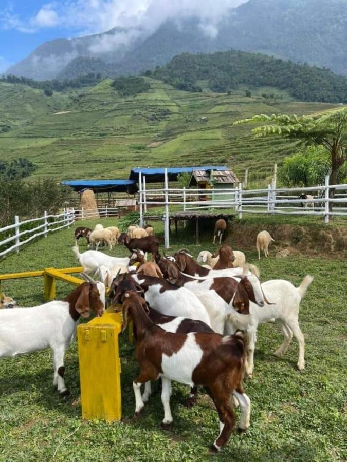 O Chau Homestay 라오까이 외부 사진