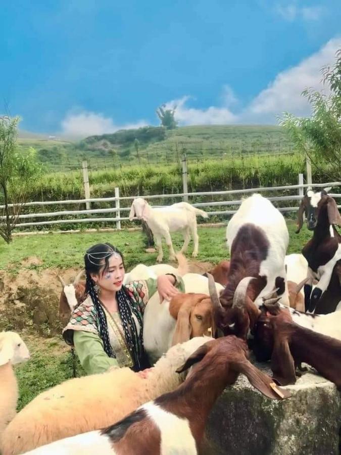 O Chau Homestay 라오까이 외부 사진